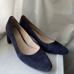 Velvety blue wedges